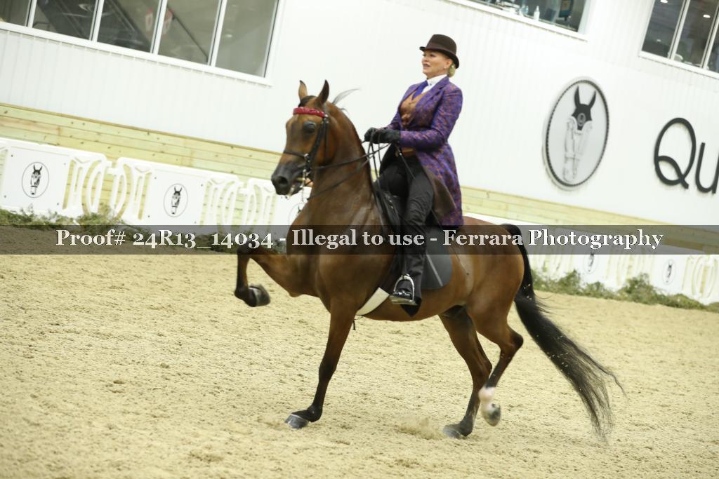 Proof 24R13_14034