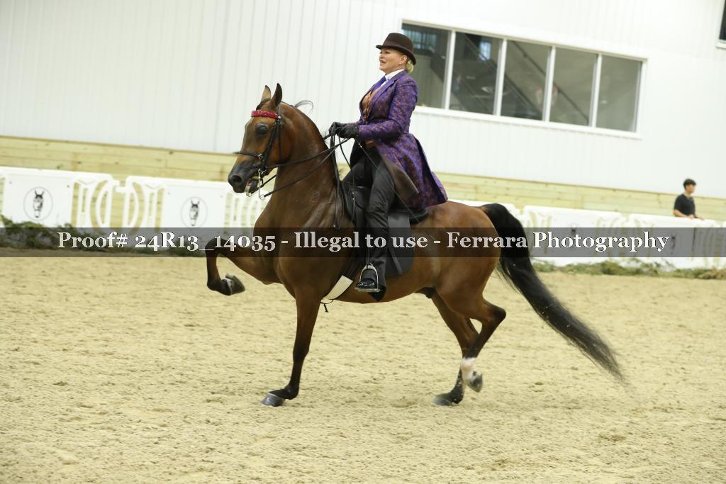 Proof 24R13_14035