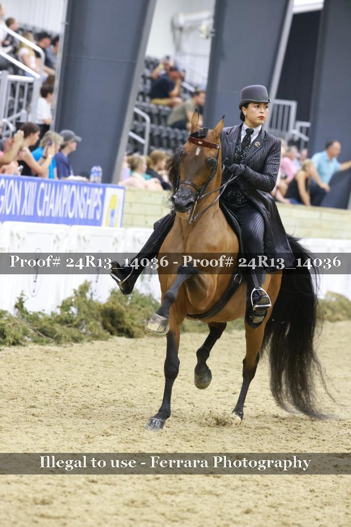 Proof 24R13_14036