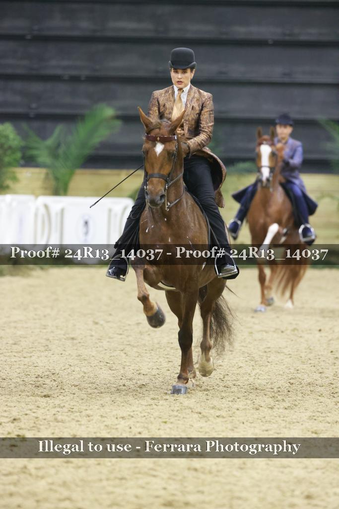 Proof 24R13_14037