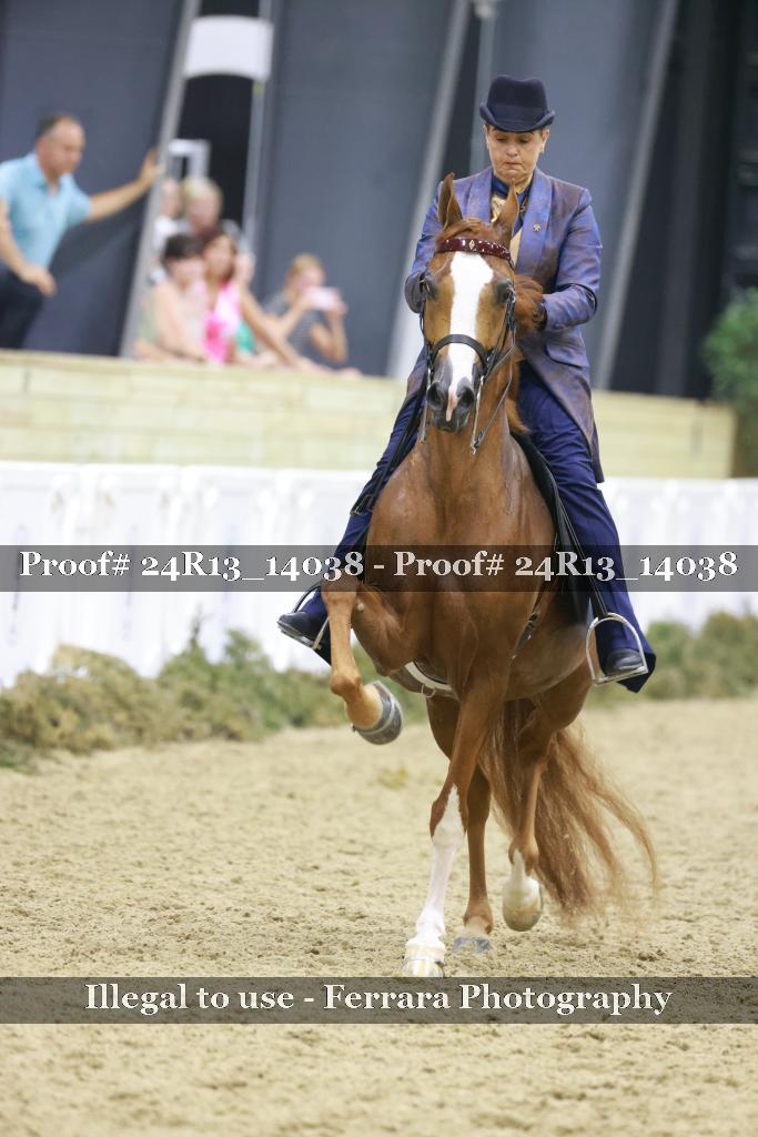 Proof 24R13_14038