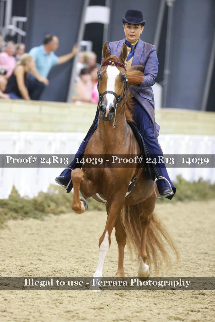 Proof 24R13_14039