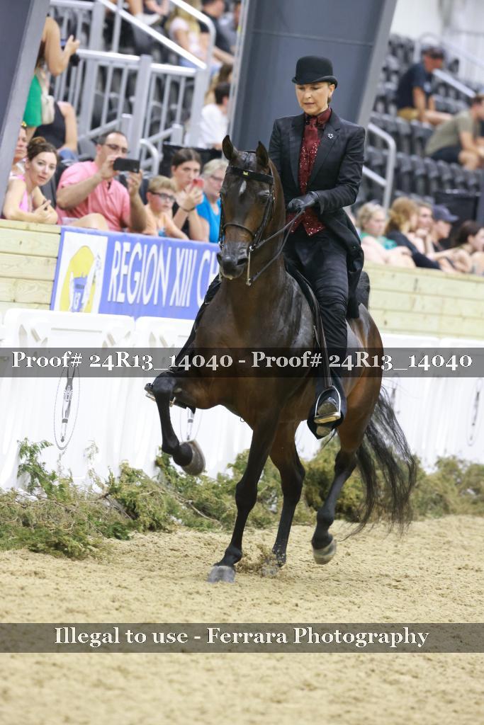 Proof 24R13_14040