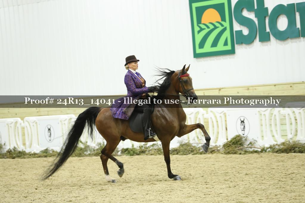 Proof 24R13_14041