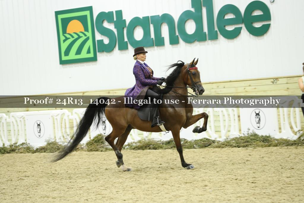 Proof 24R13_14042