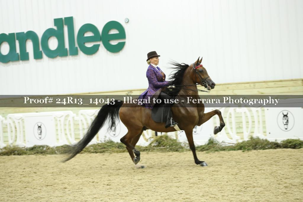 Proof 24R13_14043