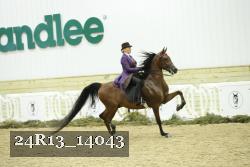 24R13_14043 proof