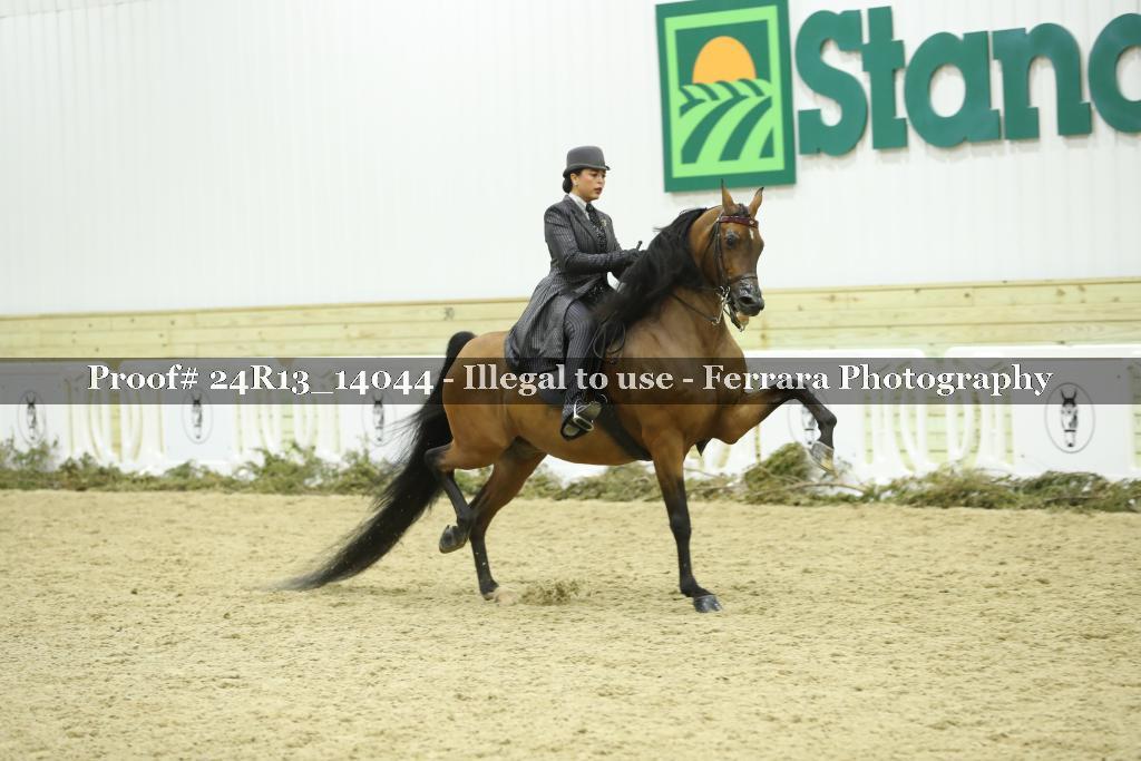 Proof 24R13_14044