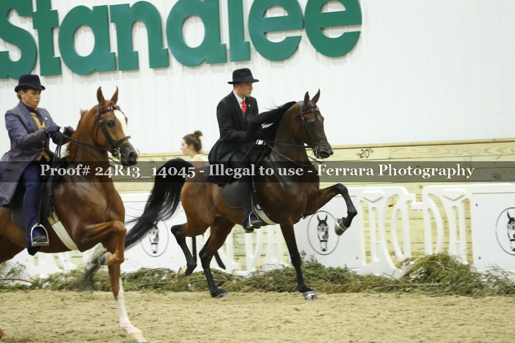 Proof 24R13_14045