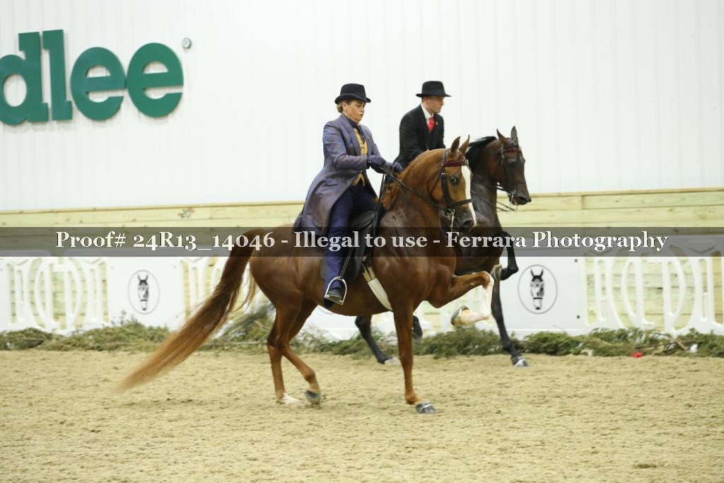 Proof 24R13_14046