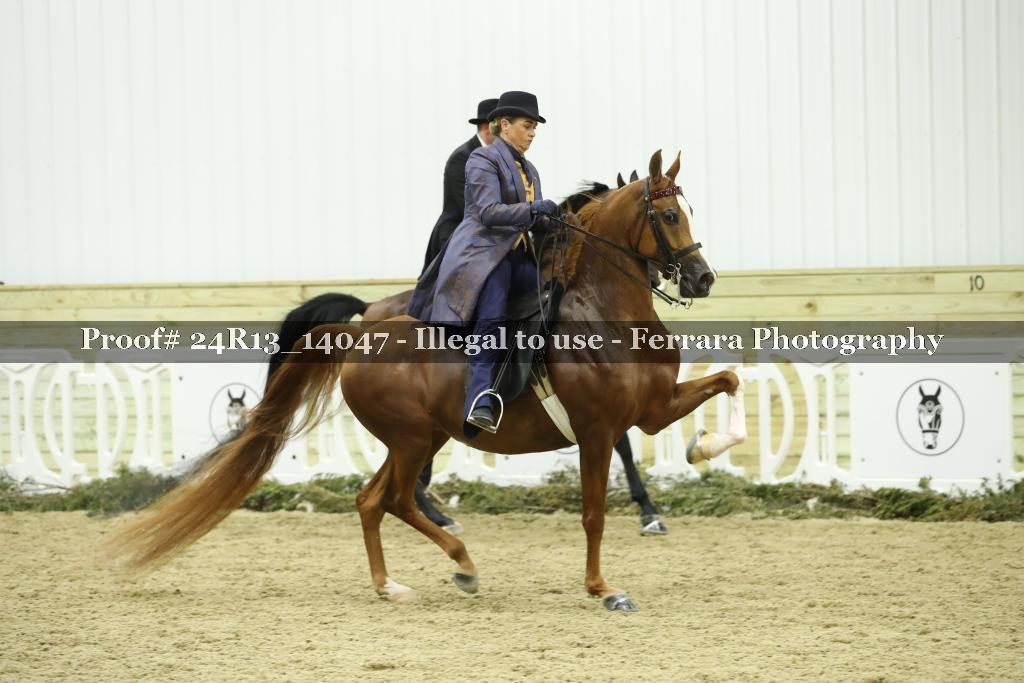 Proof 24R13_14047