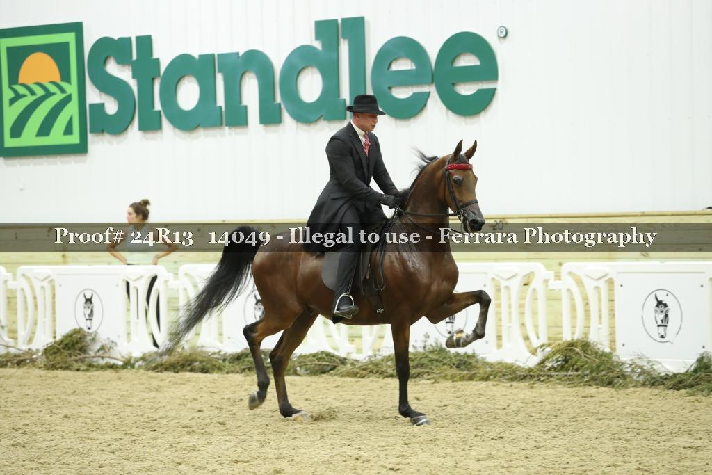 Proof 24R13_14049
