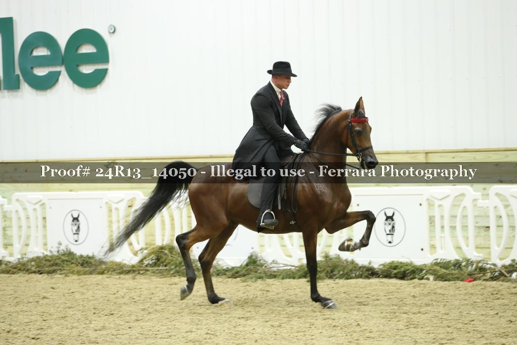 Proof 24R13_14050