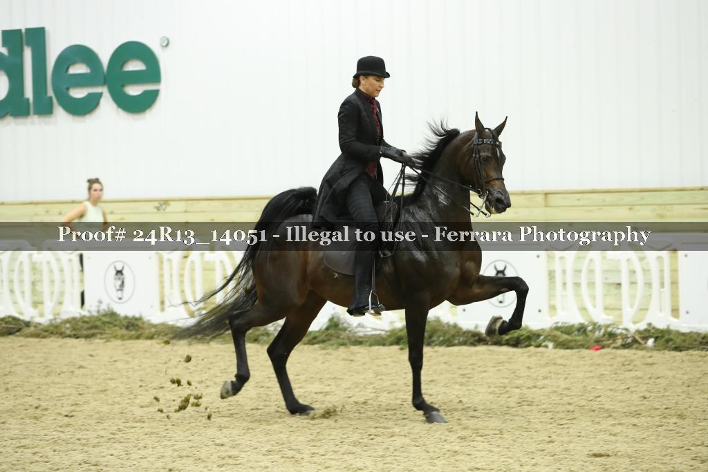 Proof 24R13_14051