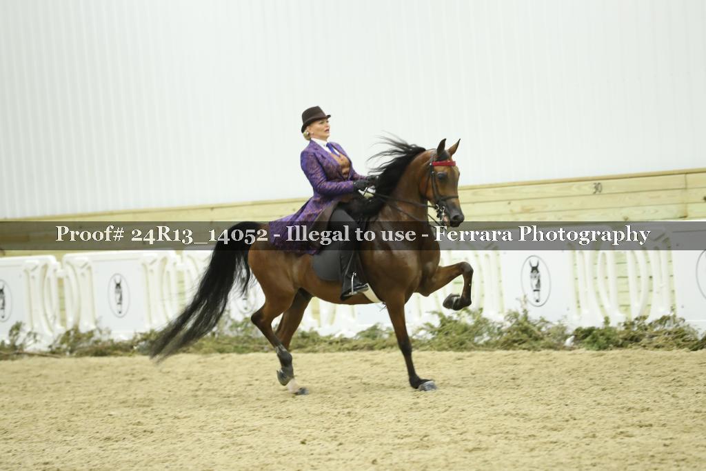 Proof 24R13_14052