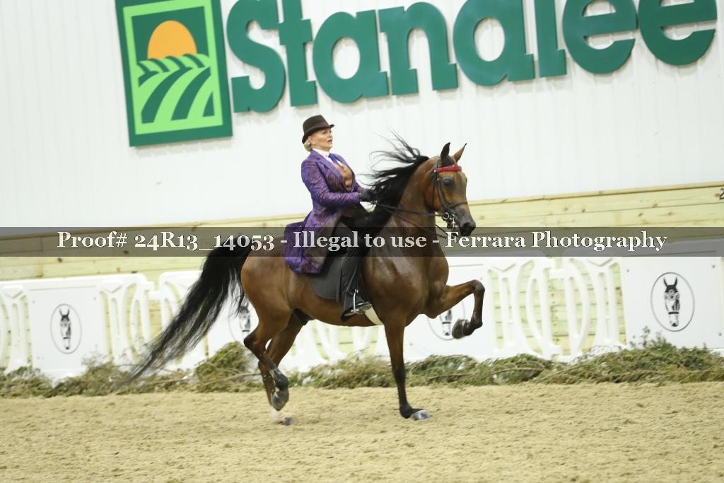 Proof 24R13_14053