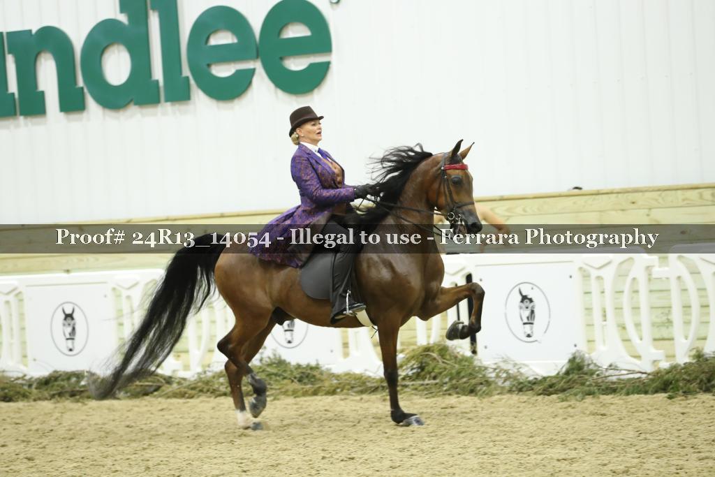 Proof 24R13_14054