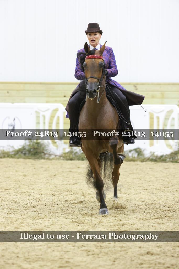 Proof 24R13_14055