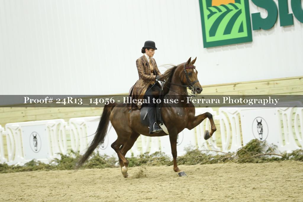 Proof 24R13_14056