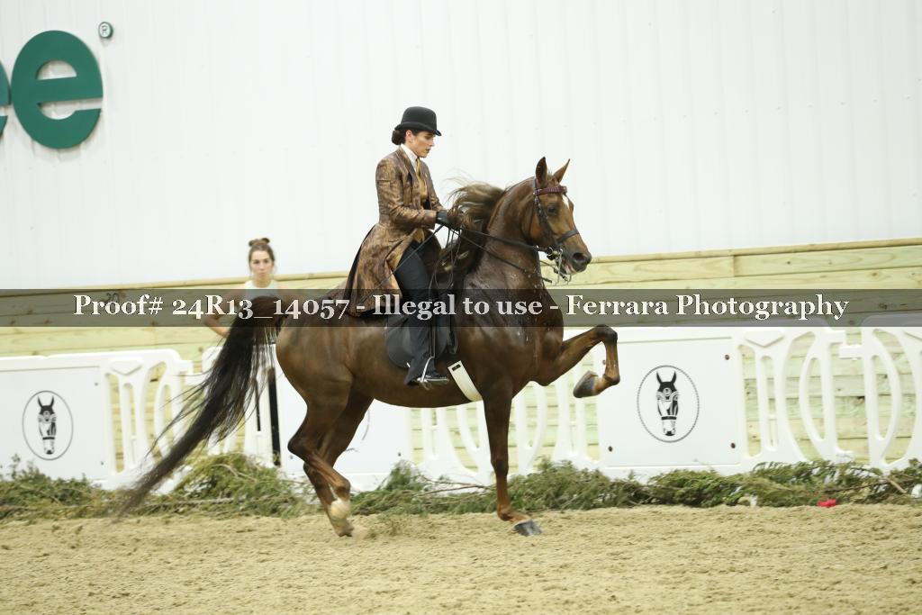 Proof 24R13_14057