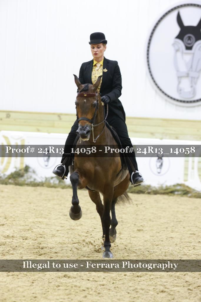 Proof 24R13_14058