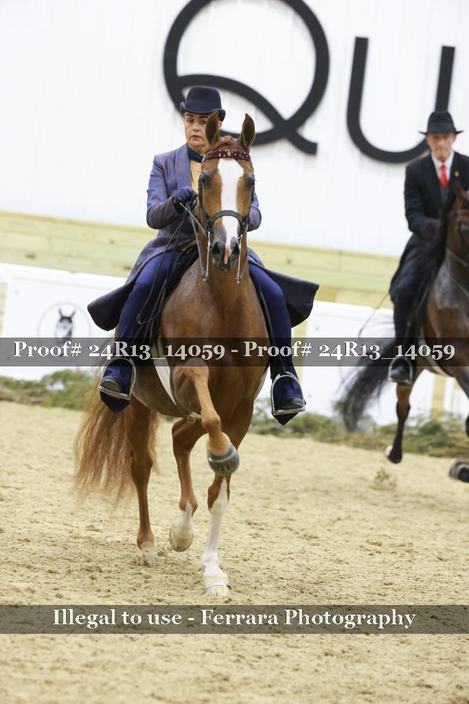 Proof 24R13_14059