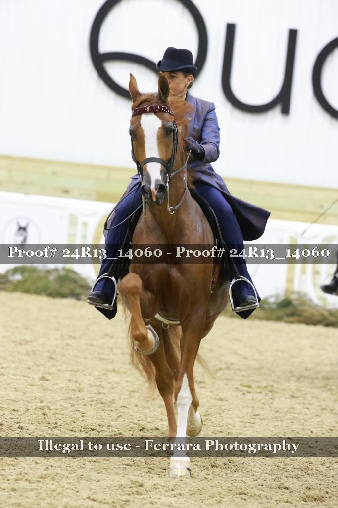 Proof 24R13_14060