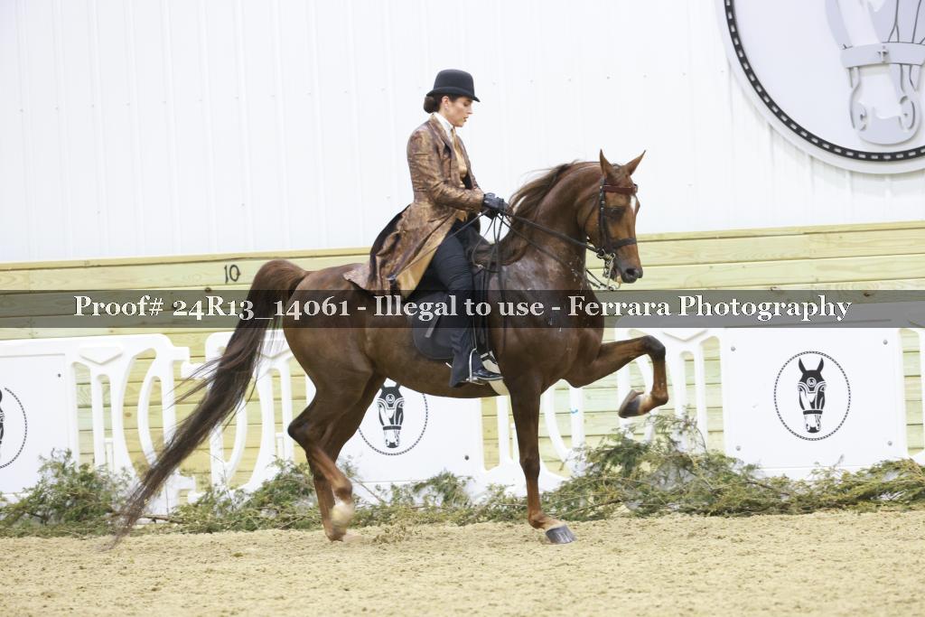 Proof 24R13_14061