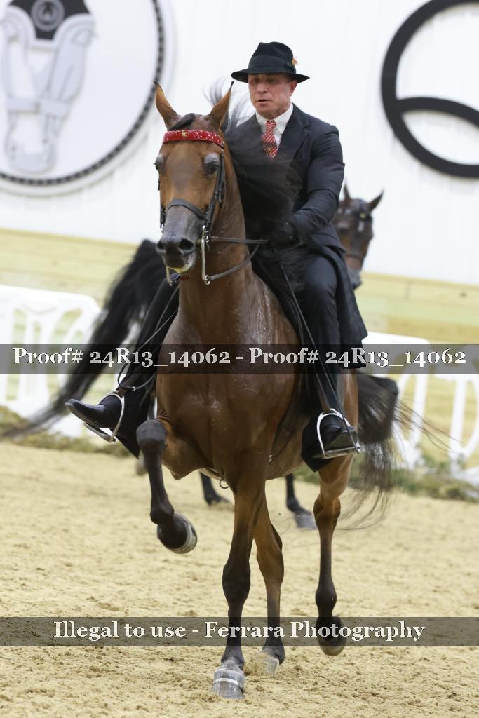Proof 24R13_14062
