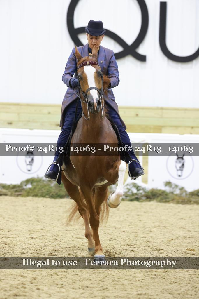 Proof 24R13_14063