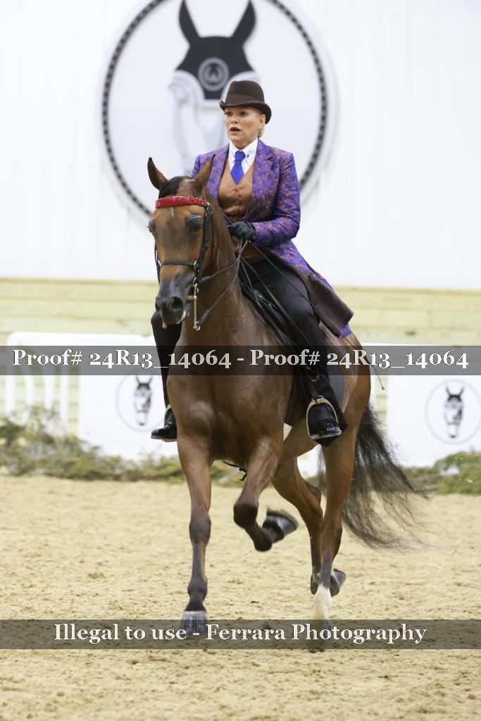 Proof 24R13_14064
