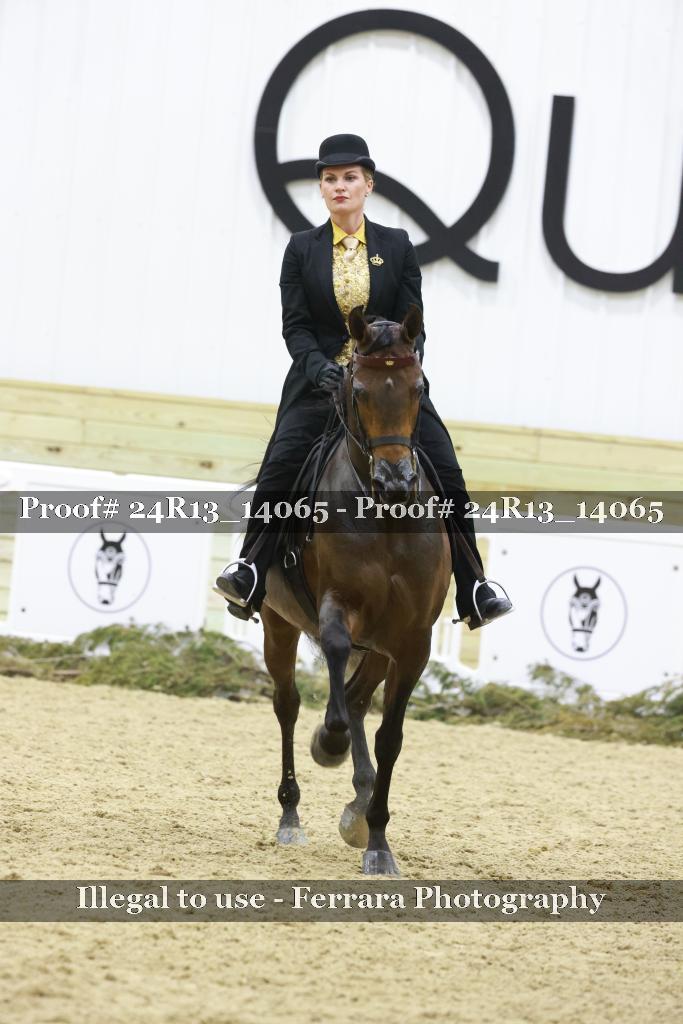 Proof 24R13_14065