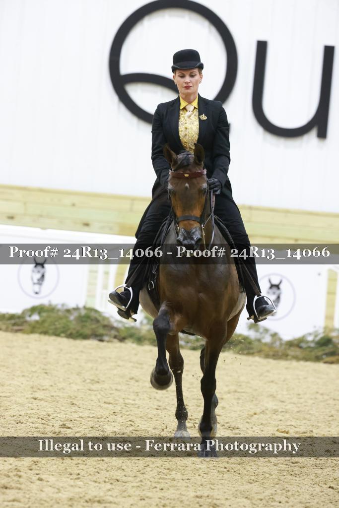 Proof 24R13_14066