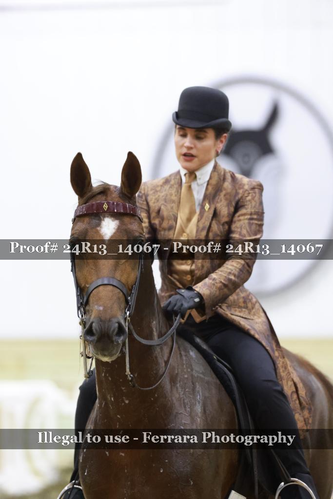 Proof 24R13_14067