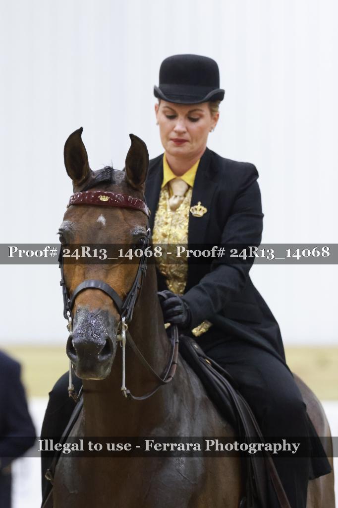Proof 24R13_14068