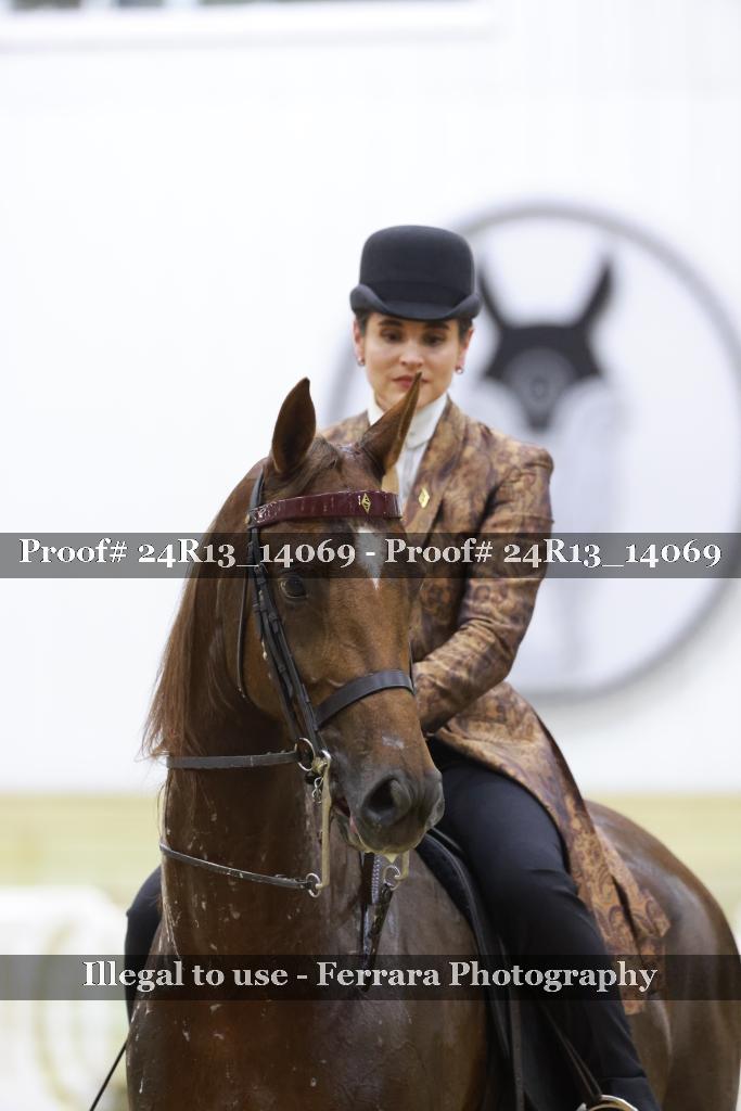 Proof 24R13_14069