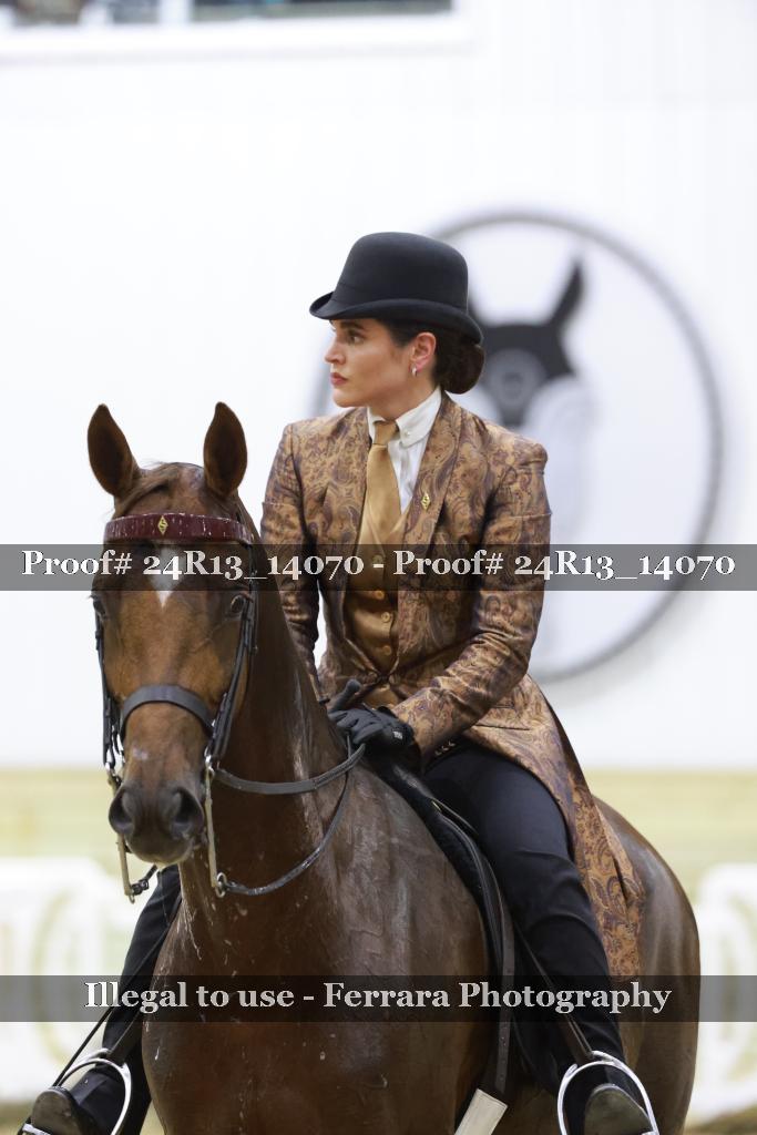 Proof 24R13_14070