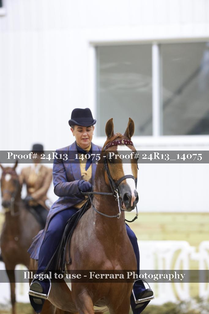Proof 24R13_14075