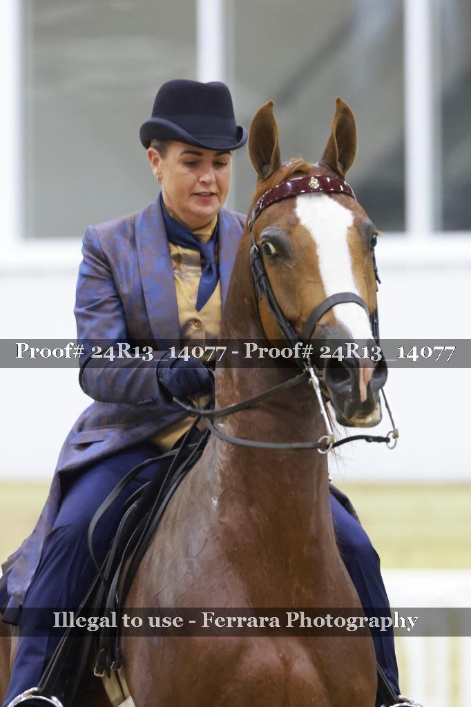 Proof 24R13_14077