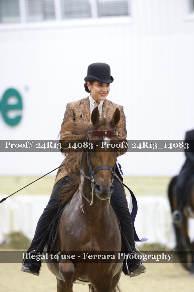Proof 24R13_14083