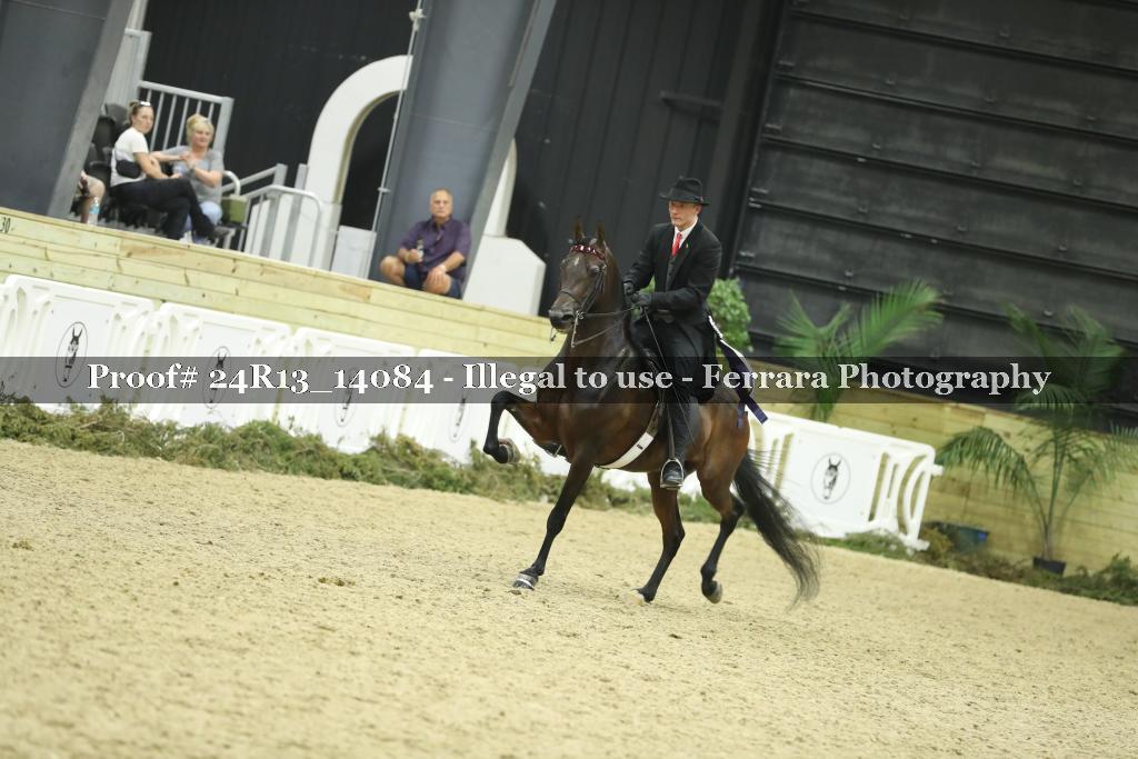 Proof 24R13_14084