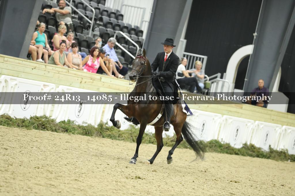 Proof 24R13_14085