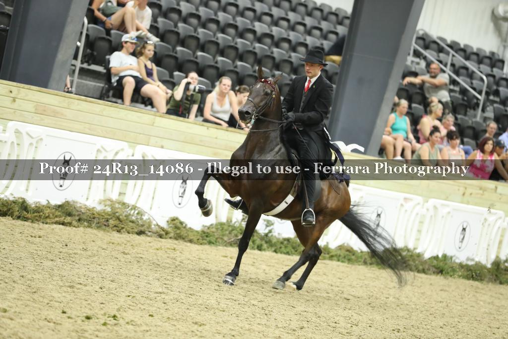 Proof 24R13_14086