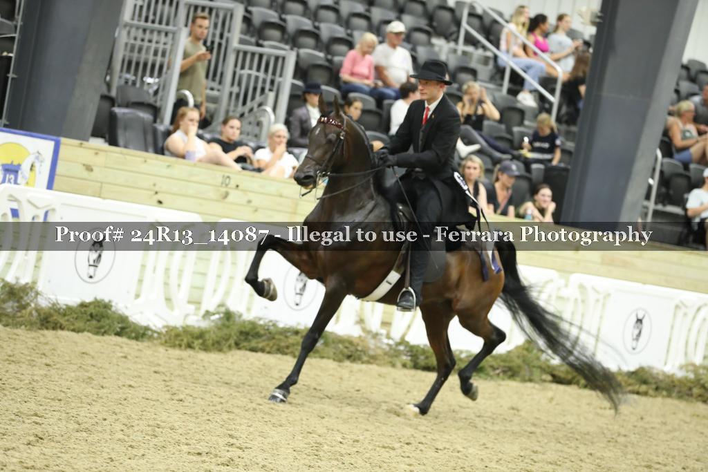 Proof 24R13_14087