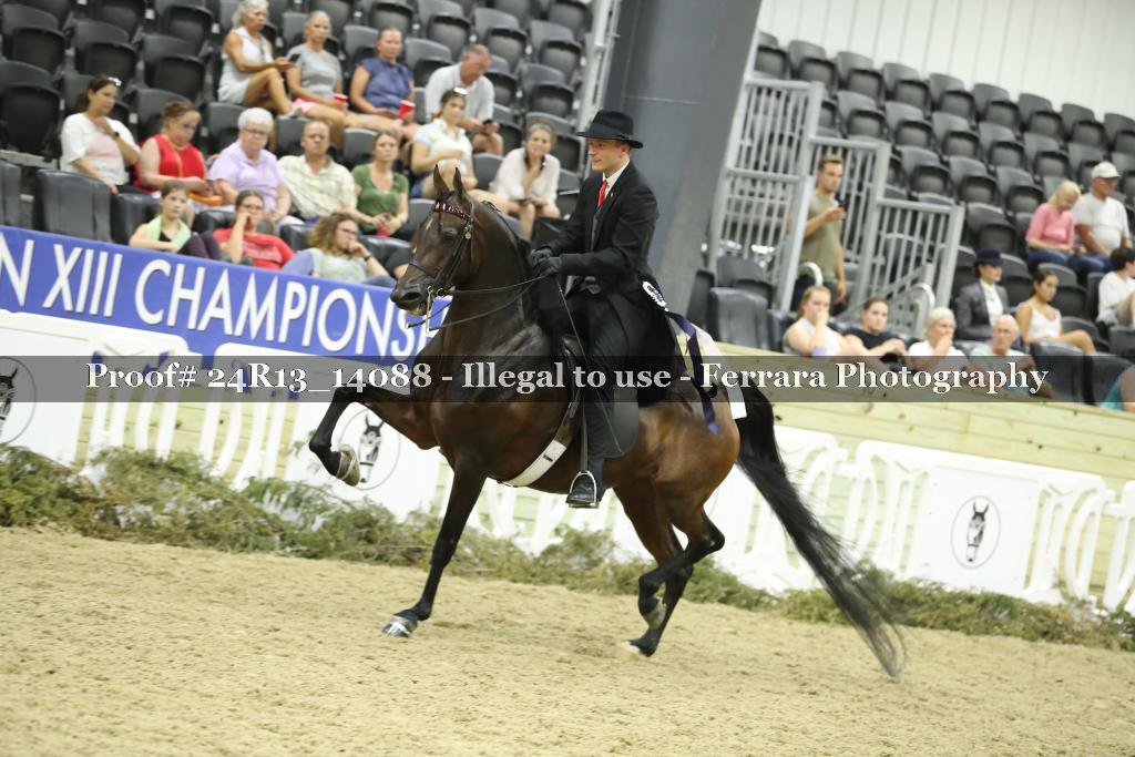 Proof 24R13_14088