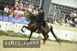 24R13_14088 proof