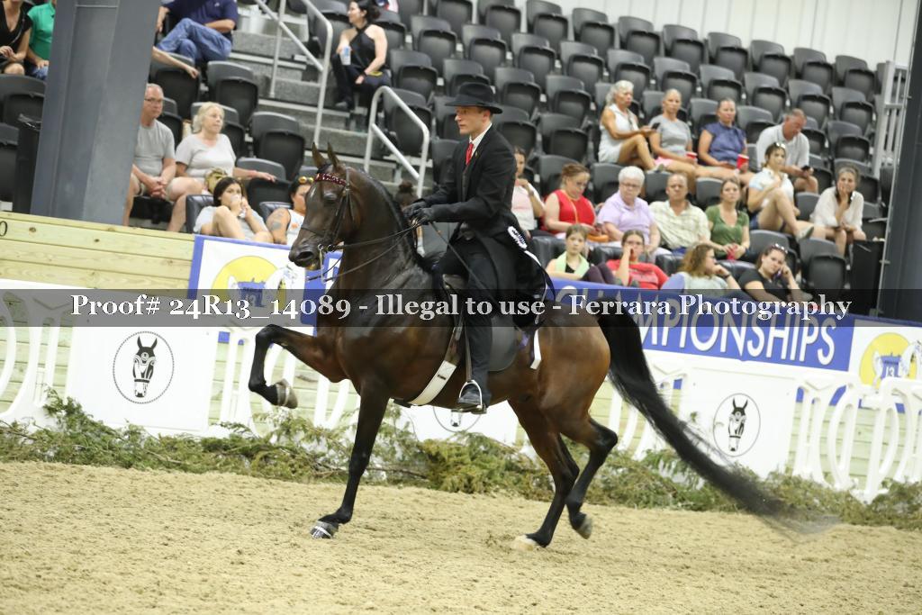 Proof 24R13_14089