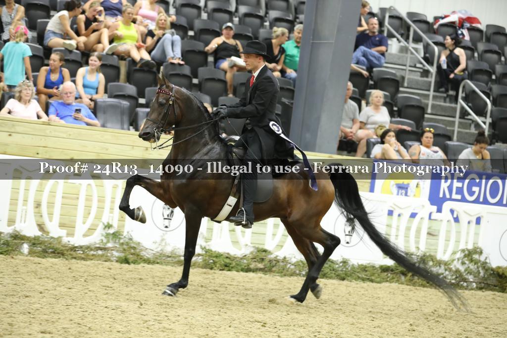 Proof 24R13_14090