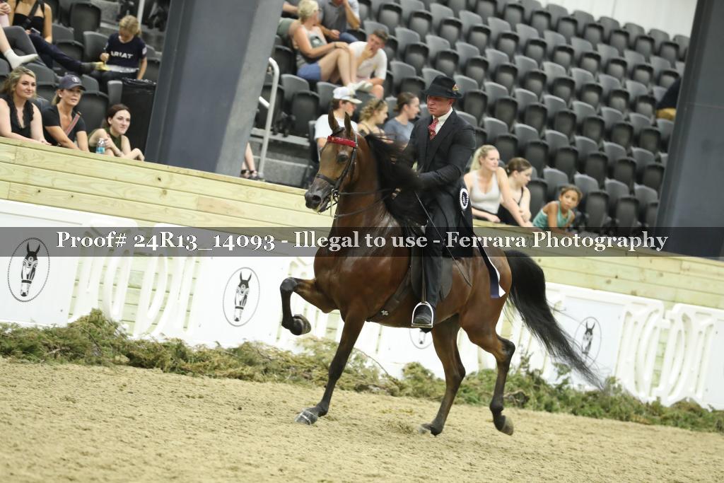 Proof 24R13_14093