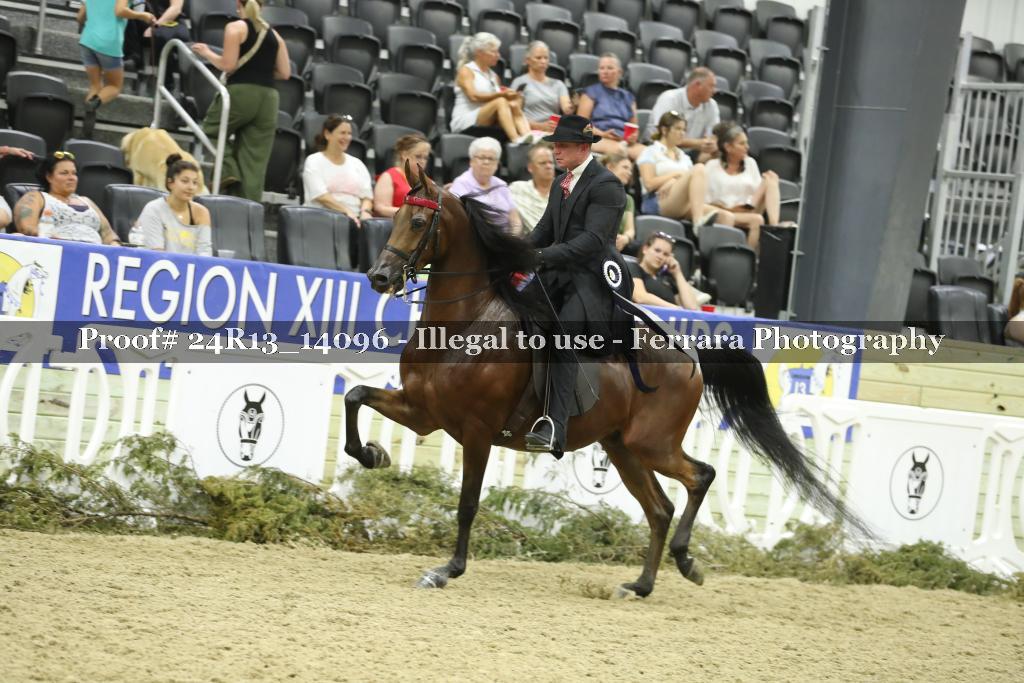 Proof 24R13_14096